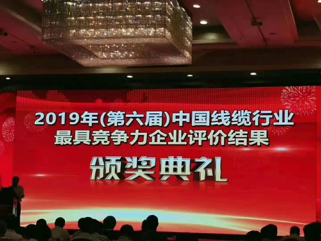 2019中國(guó)線纜行業(yè)100強(qiáng)企業(yè).jpg